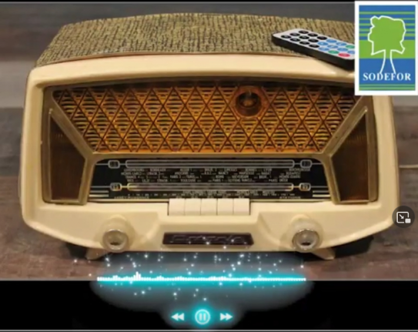 Message de la sodefor à la population